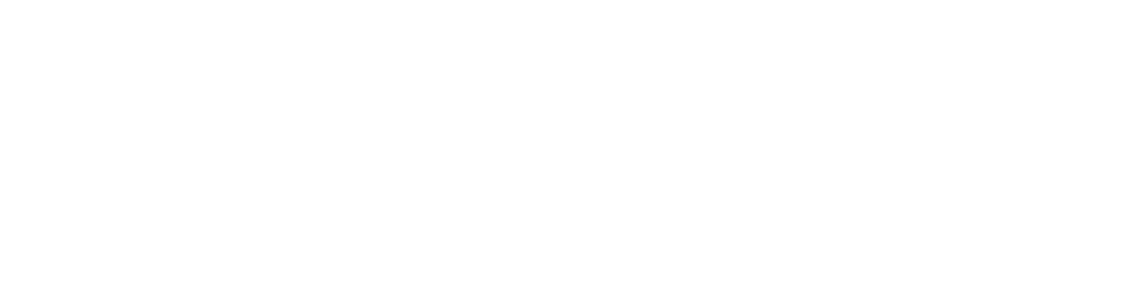 AnyCareer_logo